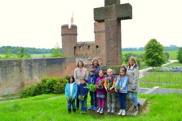 Im neuen Museumsgarten am Weiertor pflanzen und ernten Zülpicher Schüler demnächst römische Kräuter. 