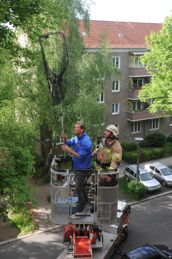 Deutsches Tierschutzbüro fordert: Berliner Feuerwehr soll Tieren in Not kostenfrei helfen