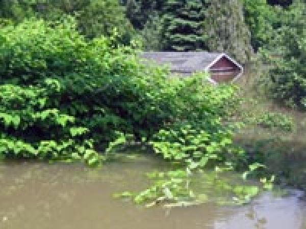 Versicherungsschutz bei Hochwasserschaden