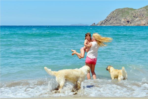 Hundeferien: Stadthunde.com gibt wichtige Tipps rund um den Urlaub mit Hund