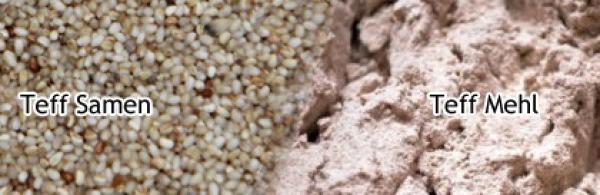 Gesünder Leben ohne Gluten – Teff, Quinoa, Amaranth und Buchweizen