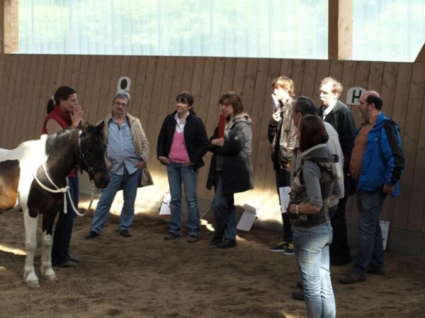Firmenevents als teambildende Maßnahme nutzen 