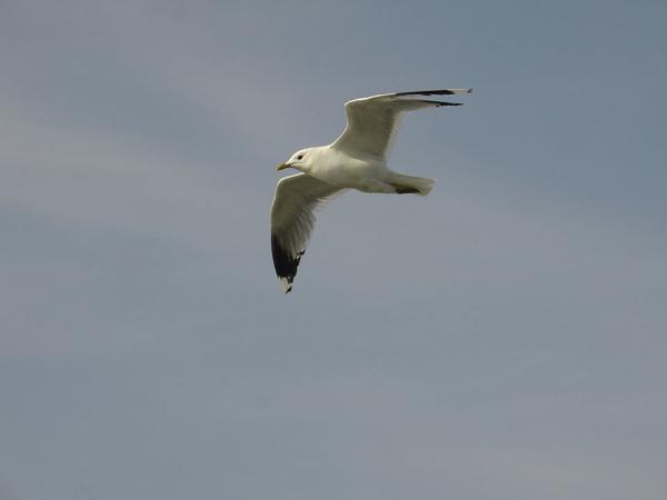 Neuer Blog und E-Shop Glücks-eBokks