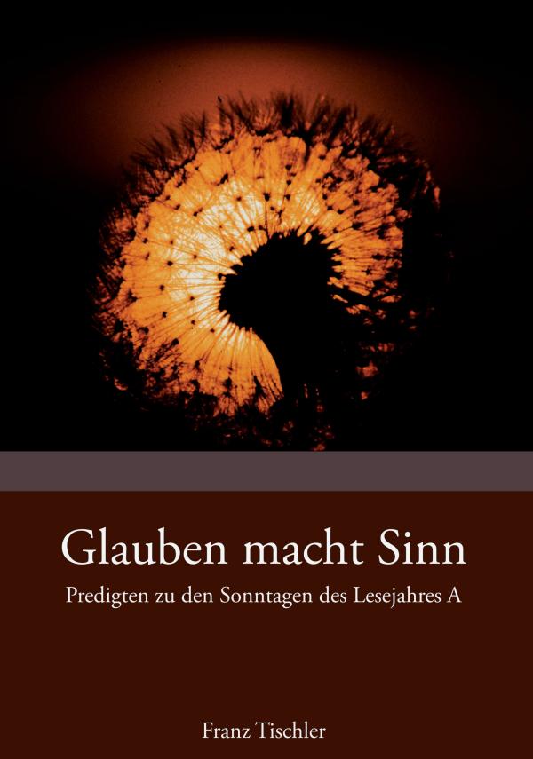 Glauben macht Sinn – neues Buch eröffnet Glauben in spannenden Sonntagspredigten