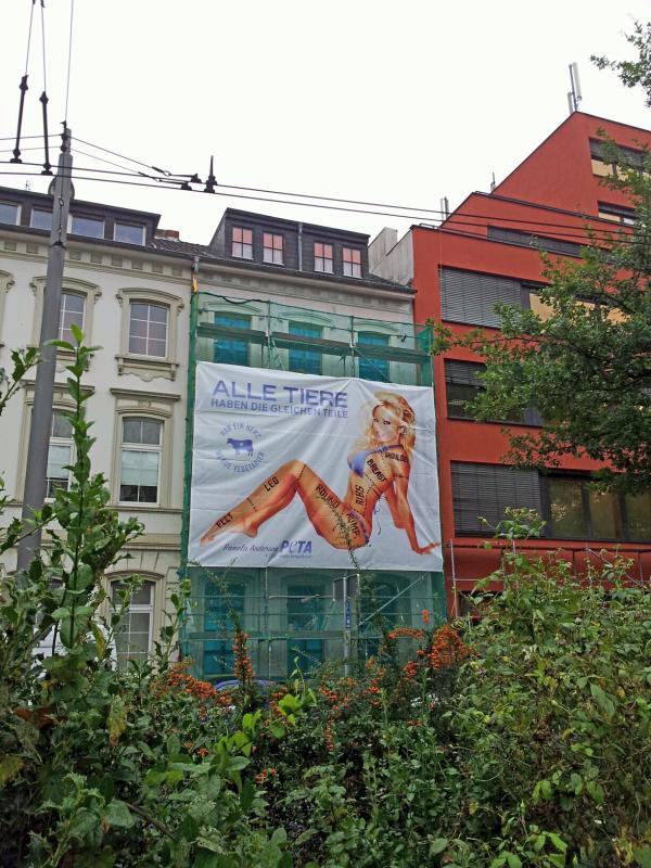 Pamela Anderson verursacht Stau auf dem Ostwall in Krefeld