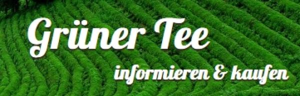Grüner Tee -- ein Heilmittel? Alles über seine Wirkung und Zubereitung; inkl. Einkaufstipps