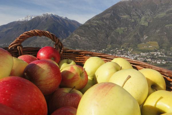 Das „Apfelparadies“ Südtirol