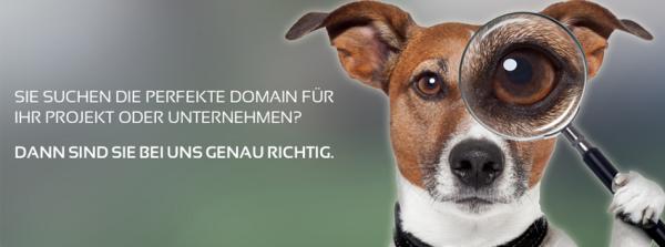 Domainnamen - wichtig für erfolgreiche Webseiten!