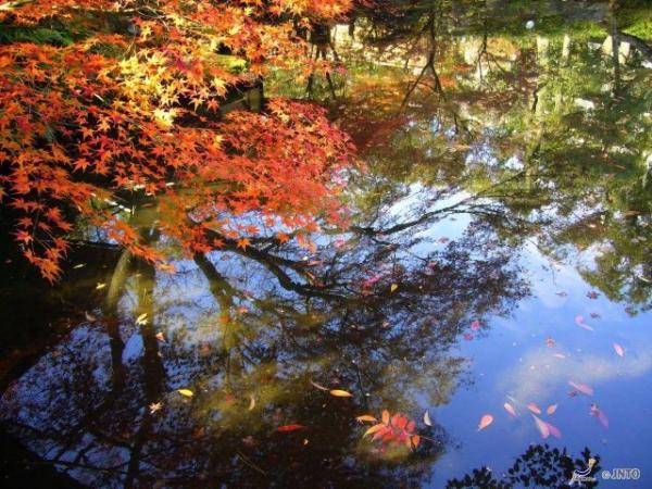 Auf Schusters Rappen durch Japans goldenen Herbst