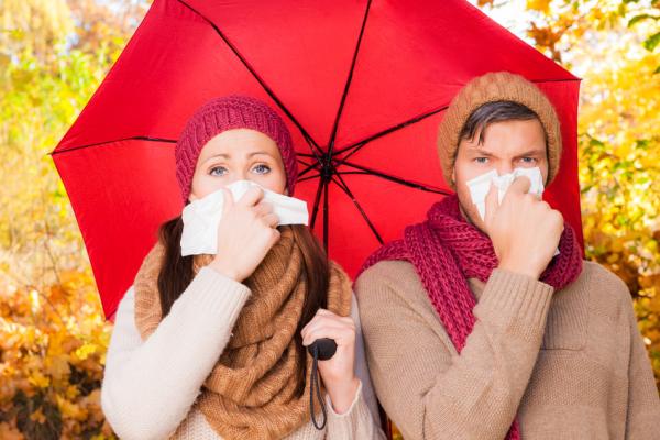 Hoffnung für Hausstaub-Allergiker im Winter