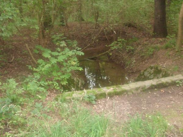 Lebendige Luppe: Neues Wasser auf alten Wegen