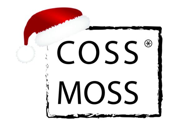 Es weihnachtet sehr – und das nachhaltig!