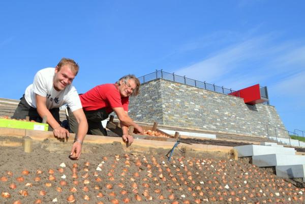 Für die Blütenpracht im Frühjahr 2014 werden 100.000 Blumenzwiebeln im Seepark eingepflanzt. 