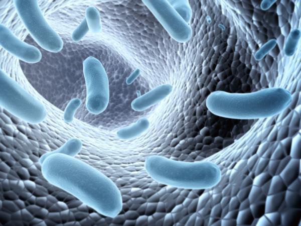 Gute Nachrichten für Borreliose-Patienten: