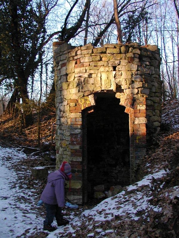 Rätselhaft – Berichte über geheimnisvolle Lichter in einem Berliner Wald
