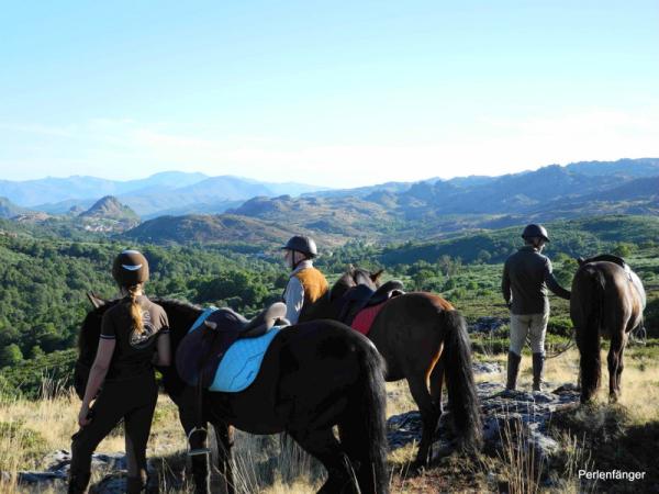 Manchmal dauern Traumerfüllungen eben länger! Reiten lernen für Erwachsene in Portugal mit Perlenfaenger