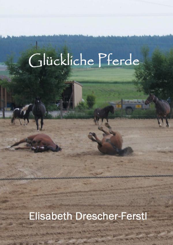 Glückliche Pferde – neues Pferdegeschenkbuch zeigt die Zutaten für ein perfektes Pferdeglück