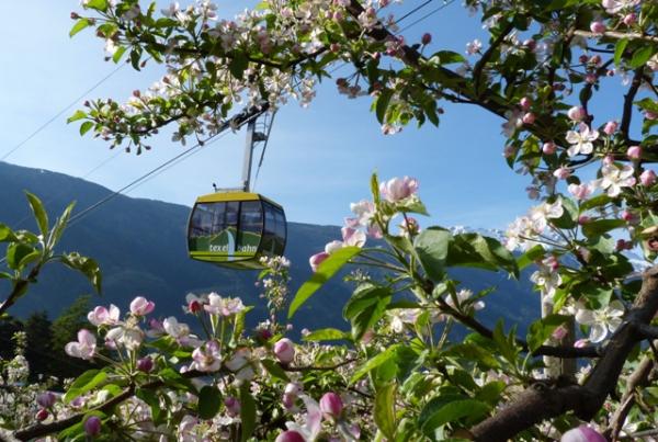 Ab in den Südtiroler Frühling – mit der FrühlingsCard in Partschins, Rabland, Töll bei Meran