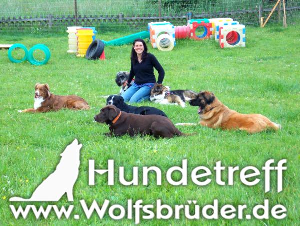 Hauptziel der Hundeschule Wolfsbrüder sind Hunde die nicht nur hören sondern folgen - Mensch & Hund als Team