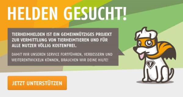 Adoptieren statt kaufen: tierheimhelden.de soll weiter optimiert werden