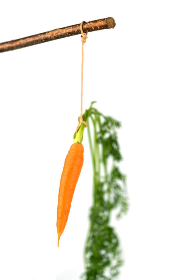 2014 noch zum Wirtschaftsfachwirt IHK - mit carriere & more in Regensburg