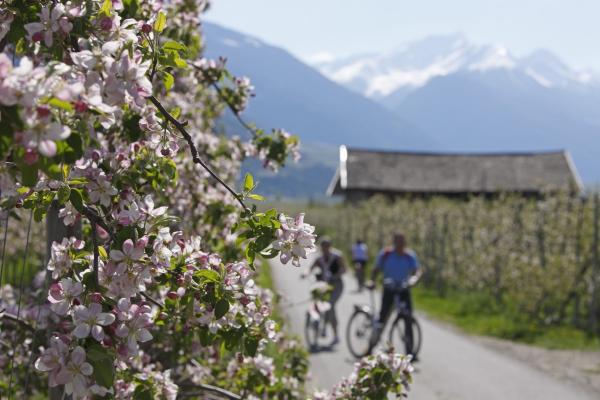 Frühlingserwachen in Südtirol