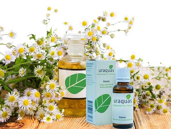 Uraquas: Homöopathie für Pflanzen