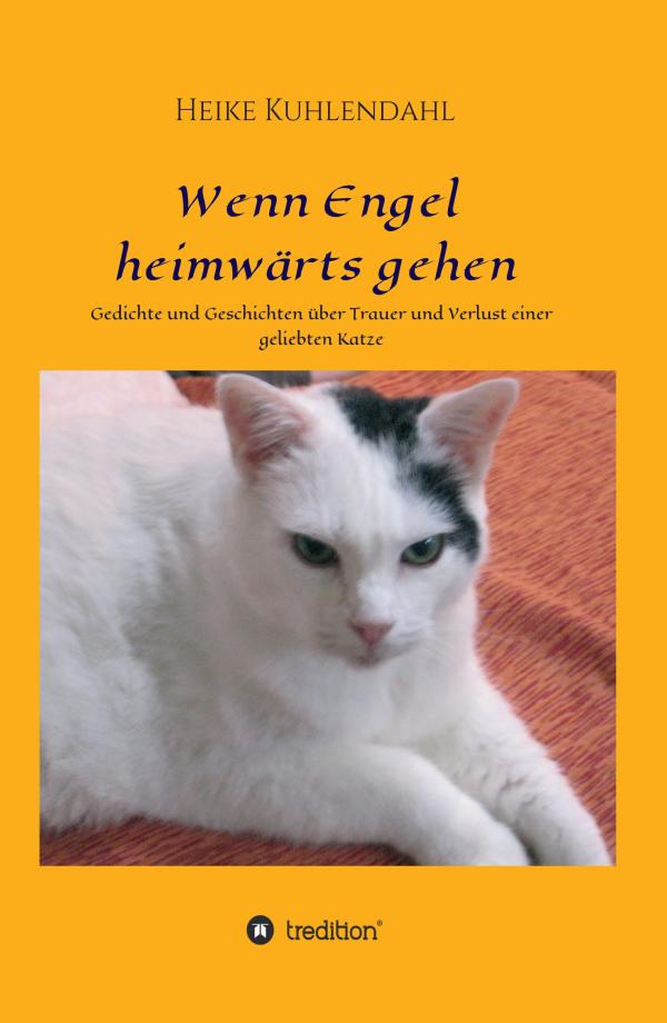 Wenn Engel heimwärts gehen - aktuelles Buch setzt sich mit Trauer und Verlust auseinander