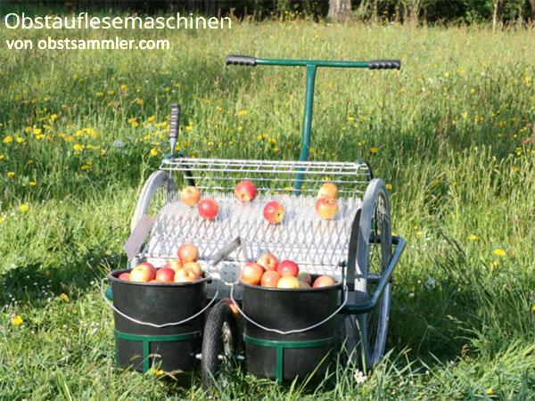 Bald blüht es wieder überall - der Frühling kommt!