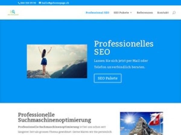 Suchmaschinenoptimierung speziell für die Schweiz von professionelle-suchmaschinenoptimierung.ch