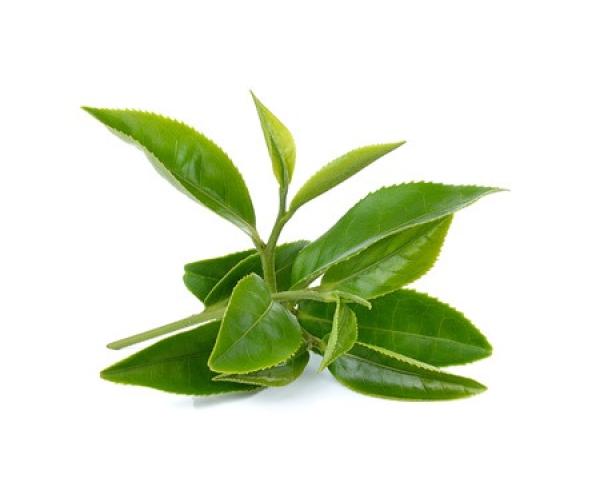 Neurodermitis und Juckreiz wirksam von Innen bekämpfen