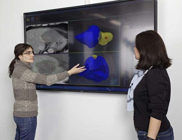 Medizinsoftware: Ist der Lebertumor wirklich weg?