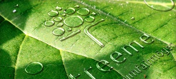 TREEME: Nachhaltigkeit im besten Sinne