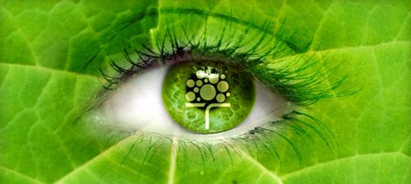 Umweltgerechte und finanzielle Interessen verbinden mit TREEME