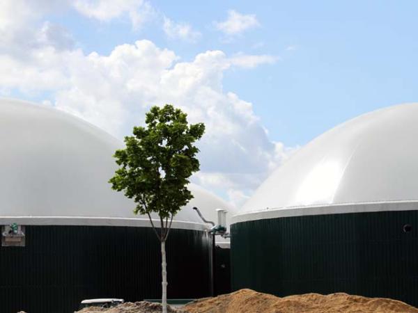 Biogas - besser als sein Ruf