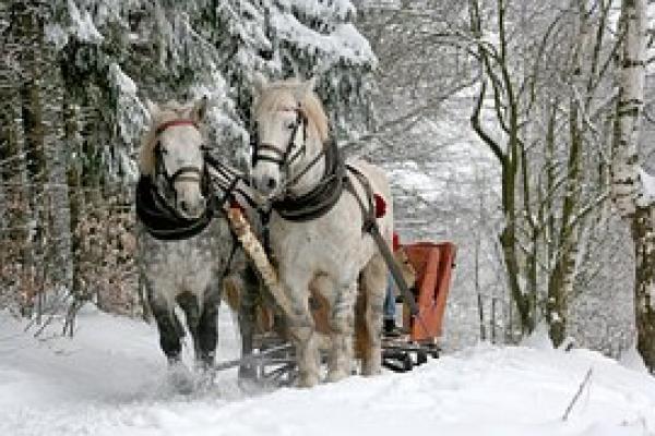 Die Weihnachtsfeier jetzt schon planen - z. B. mit dem "Sleigh Ride" von Leroy Anderson.