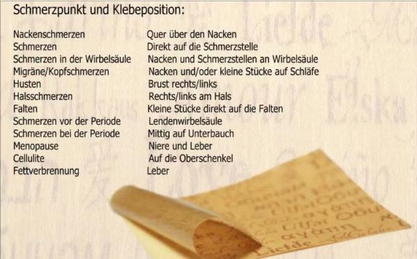 Exclusiv-Interview mit Sibylle Werner: über ihren Erfolg bei "ForeverGreen"