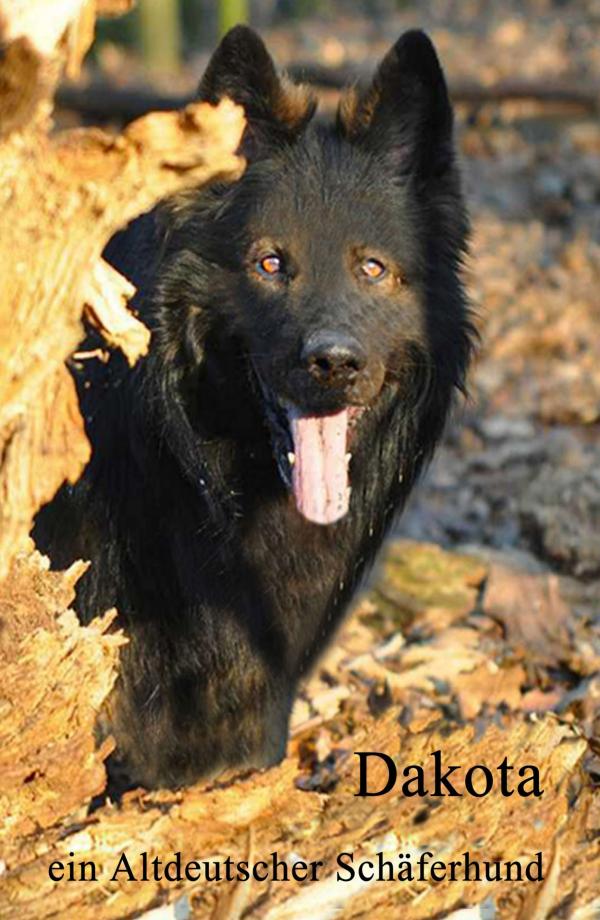 Dakota - melancholische Erinnerungen an einen schwarzen Schäferhund