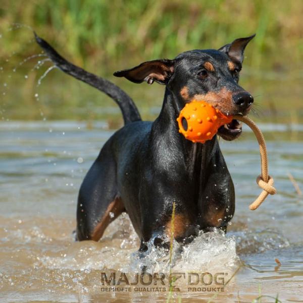 Sommer, Sonne, Badespaß - Major Dog Schwimmender Eddy Hundespielzeug