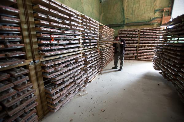 Gefälschte Gold- und Silbermünzen