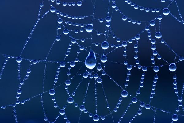 Steigende Anzahl von Restrukturierungsfällen erwartet