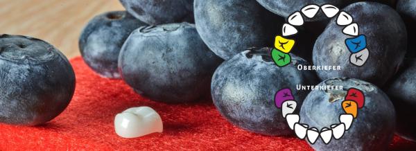 Kiddy-Caps: FIMA-CouronneTEC präsentiert neuartige Kinder-Zahnkronen aus Keramik auf der DGKiZ-Tagung 2016