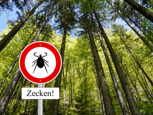 Frühwarnsystem nach Zeckenstich - Schützen Sie sich vor Borreliose