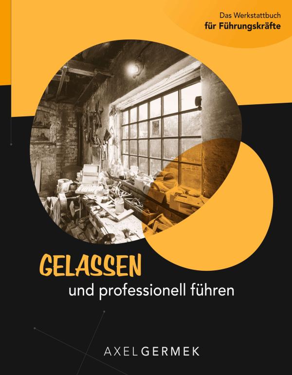 Gelassen und professionell führen - hilfreiches und effektives Werkstattbuch für Führungskräfte