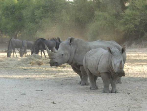 Namibia-Rundreise Fish River Canyon und Etoschapark, 14 Tage