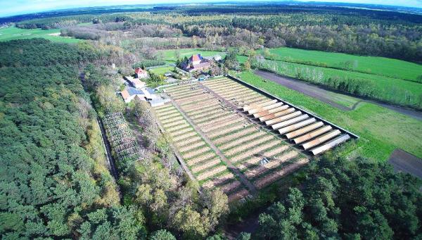 Aktuelles Fotomaterial belegt: Ende der Tierqual in Söllichau - Pelzfarm schließt seine Tore 