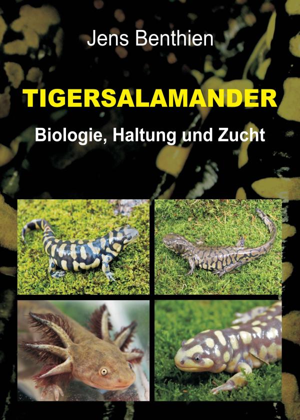 Tigersalamander - Sachbuch über die Zucht und Haltung exotischer Tiere