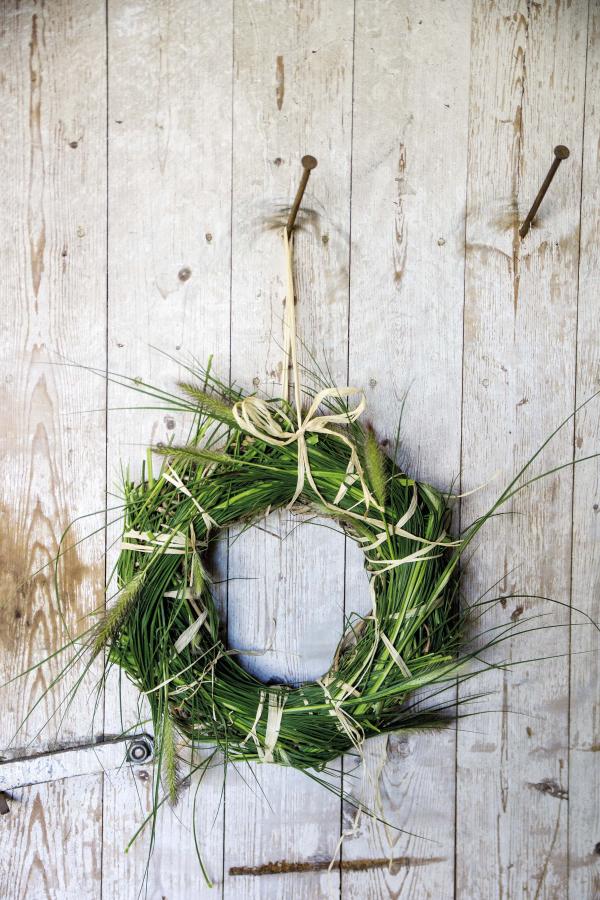 Pennisetum 'Goldzeiten' für den spätsommerlichen Garten