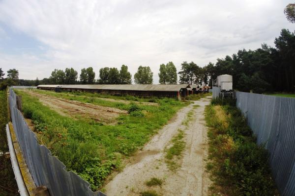 Aktuelles Bildmaterial belegt: Letzte Pelzfarm in Brandenburg geschlossen