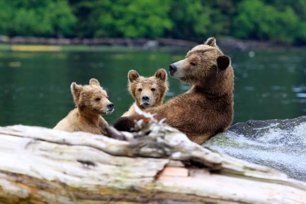 Canadian Signature Experience: Neue Abenteuer am Meer